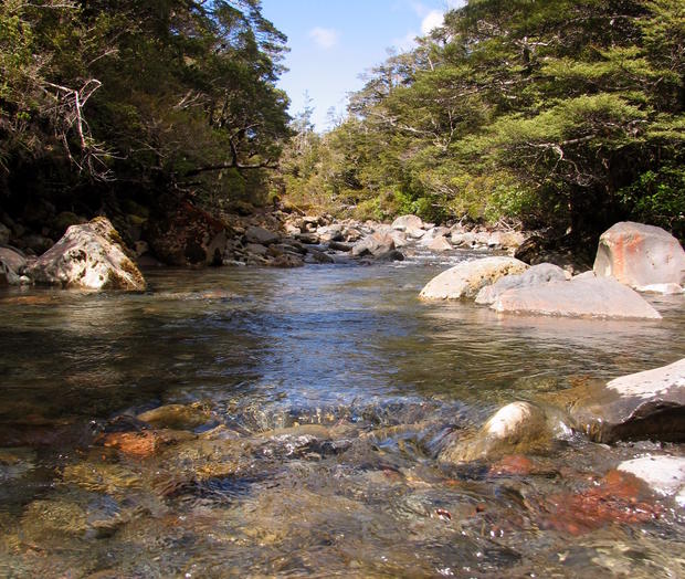 Tongariro River 