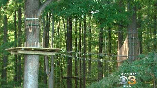 zipline.jpg 