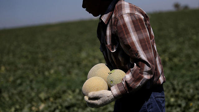 farm-worker.jpg 