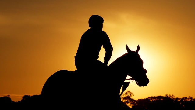 A horse and exercise rider train at sunrise prior to the 148th running of the Belmont Stakes at Belmont Park on June 2, 2016, in Elmont, New York. 