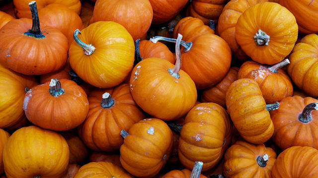 autumn-pumpkin-halloween.jpg 