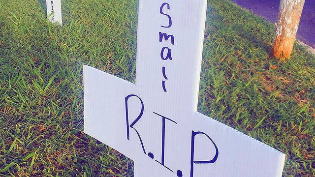 A long row of white crosses covers two blocks along Main Street in Arlington, Texas, after a dozen cats died or disappeared. 