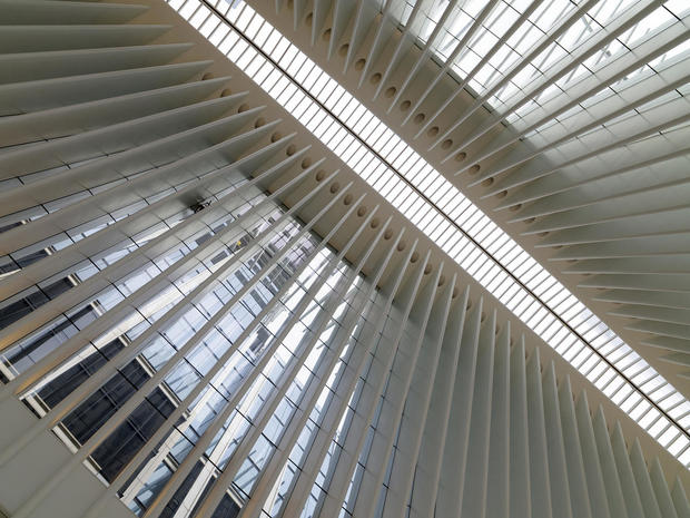 daniel-jones-oculus-ceiling-diagonal.jpg 