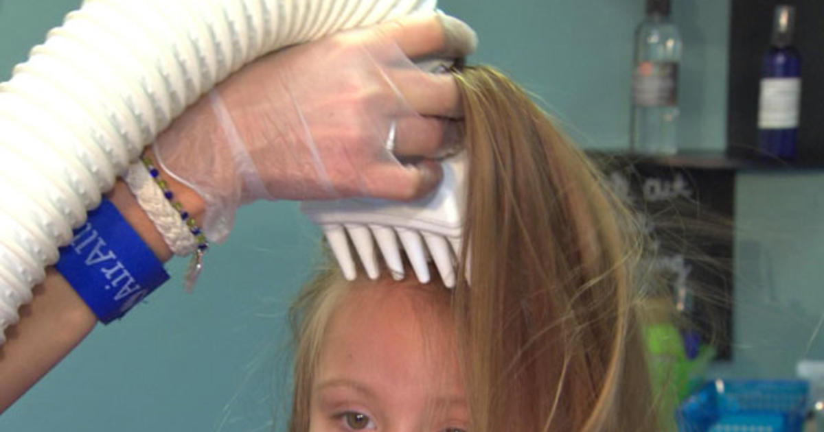 Chemical Resistant Head Lice Found In Mass. - CBS Boston