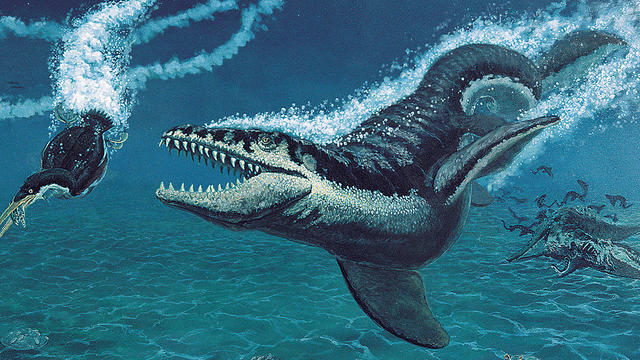 mosasaur-reconstruction.jpg 