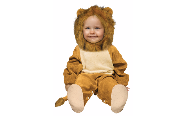 lion.png 