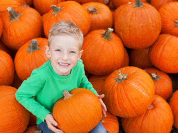 kid at pumpkin patch 