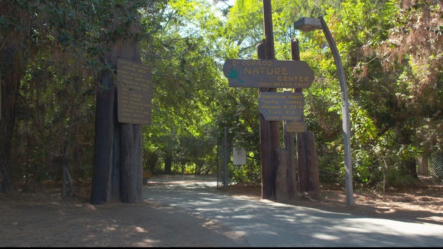 wozniak-park.jpg 