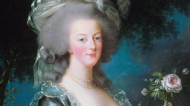 marie-antoinette-with-the-rose-louise-elisabeth-vigee-lebrun-palace-of-versailles-promo.jpg 