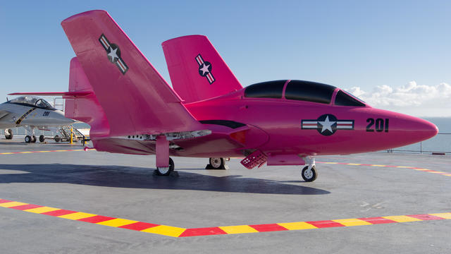 pink-navy-jet-breast-cancer-awarenss.jpg 