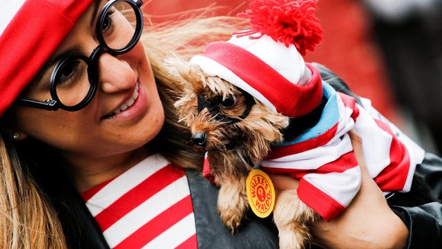 halloween-dog-parade-nyc-s1aeuinccwaa-rtrmadp.jpg 