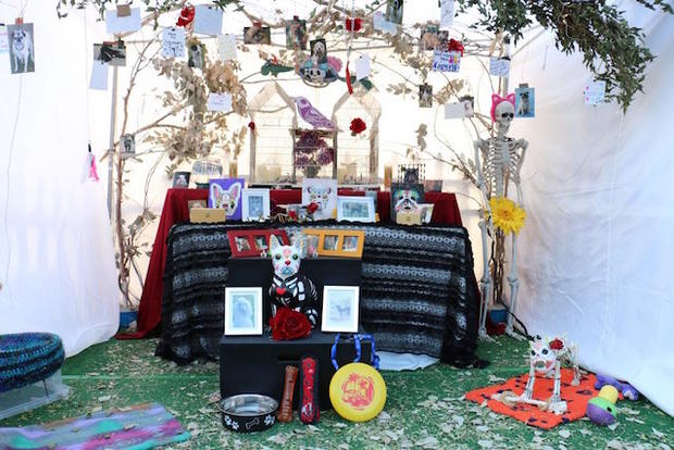 San Pedro Day of the Dead- verified ramon gonzales 