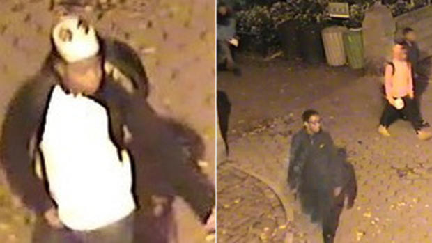 Central Park Robbery Suspects 