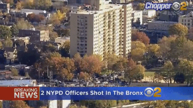 bronx.gif 
