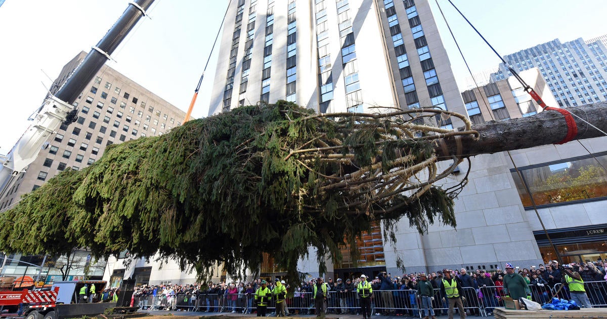 Rockefeller Center Christmas tree arrives in NYC - CBS News