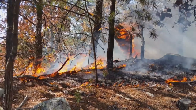 a69-strassman-southern-wildfires-transfer-frame-1864.png 