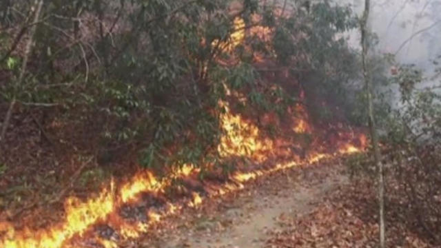 rough-ridge-fire-burns-in-north-georgia-mountains-111516.jpg 