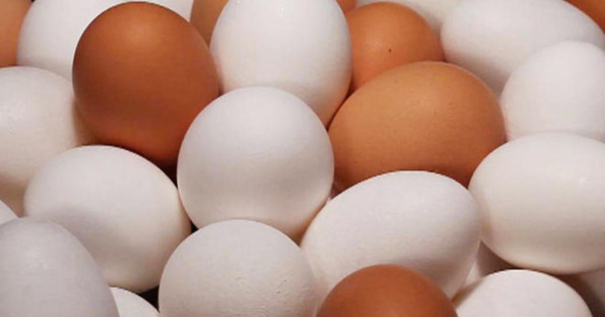 Salmonella outbreak that prompted egg recall sickens more people CBS News