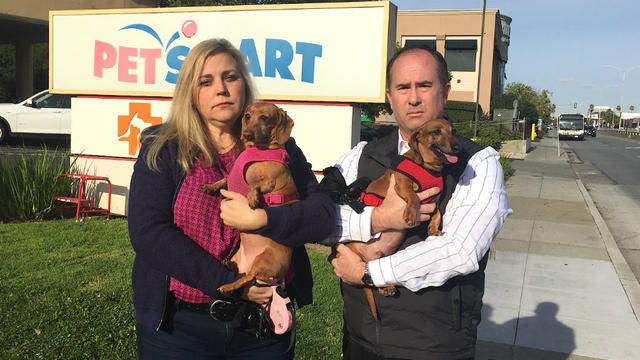 Dog Owner Sues PetSmart, Claims Staff Suffocated Pet During Nail