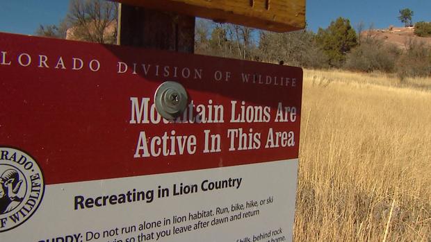 mountain lions sign 