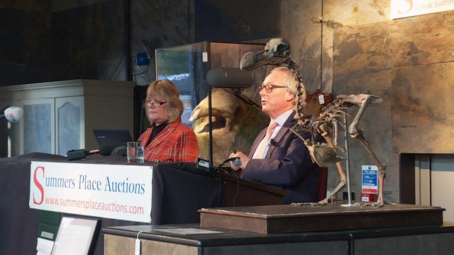 phillips-climate-dodo-nfa2.jpg 