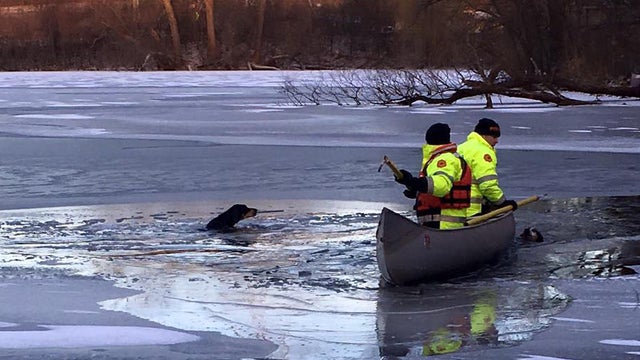 Firefighters with the city of Eagan, Minnesota, work to rescue two dogs who fell into a lake on Dec. 8, 2016. 