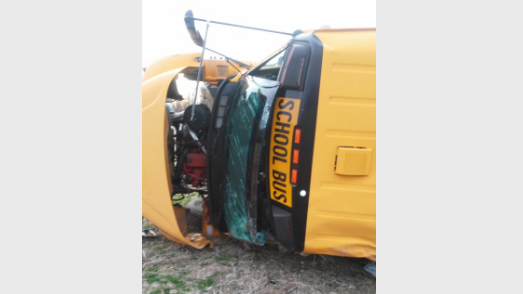 busdeer2.png 