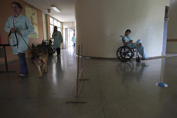 brazilian-therapy-dogs-2-2016-12-30.jpg 