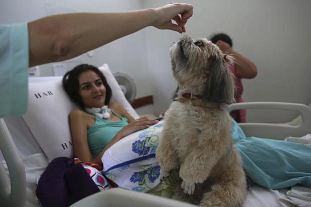 brazilian-therapy-dogs-9-2016-12-30.jpg 