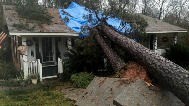 tree-hits-belview-alabama.jpg 