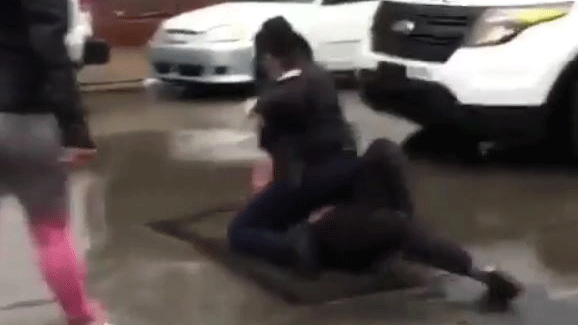 brawl.gif 