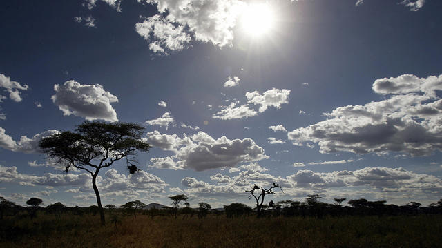 serengeti-national-park-77967020.jpg 