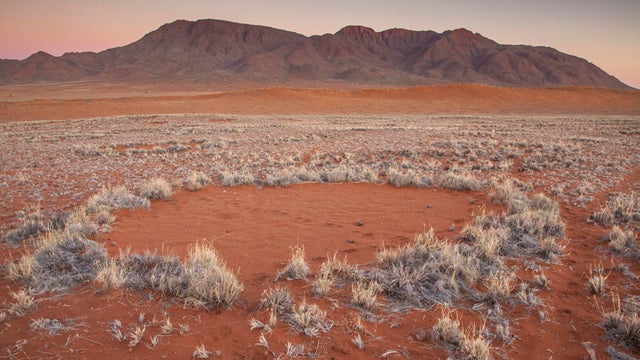 namibdesert1.jpg 