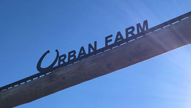 Urban Farm 