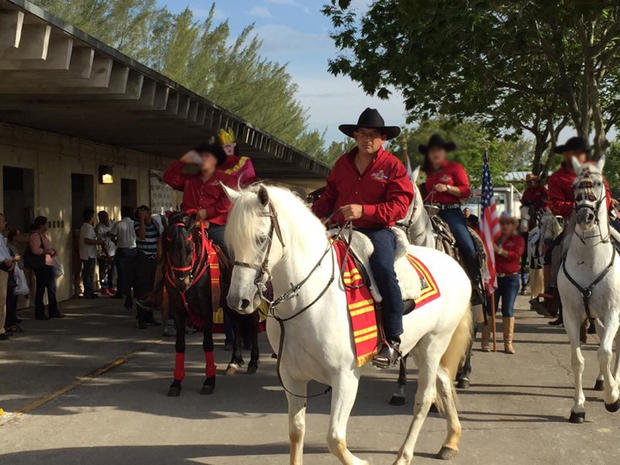 Stolen Andalusian Show Horse - Deseada 