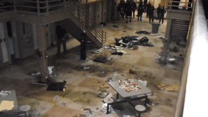 riot.gif 