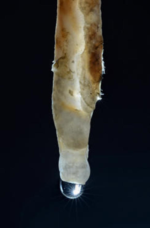 stalagtite-verne-lehmberg-244.jpg 