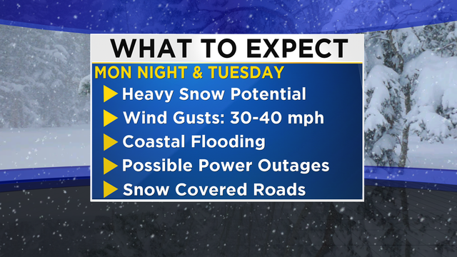 what-to-expect-winter-storm-impacts.png 