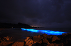 tasmaniabay1.png 