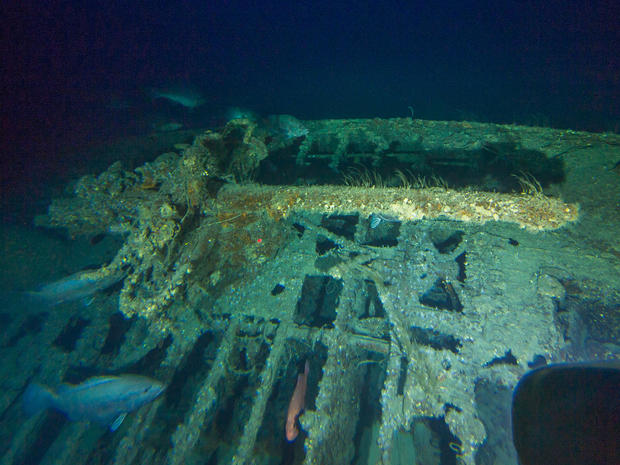 wwii-shipwreck-u576-deck-gun.jpg 