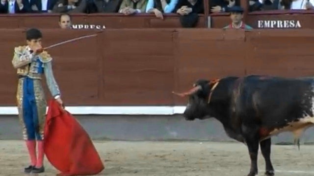 spain-matador-gored.jpg 