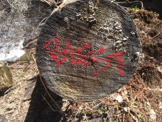 Hanging Lake Vandalism 4 (Forest Service) 