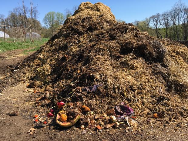 Compost Pile at Saul High School 