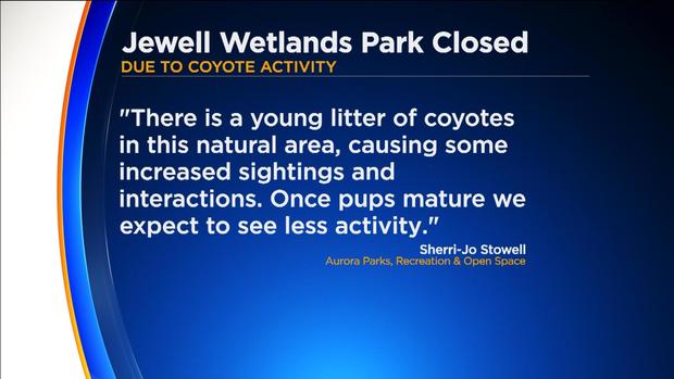 JEWELL PARK COYOTES dfghKG 