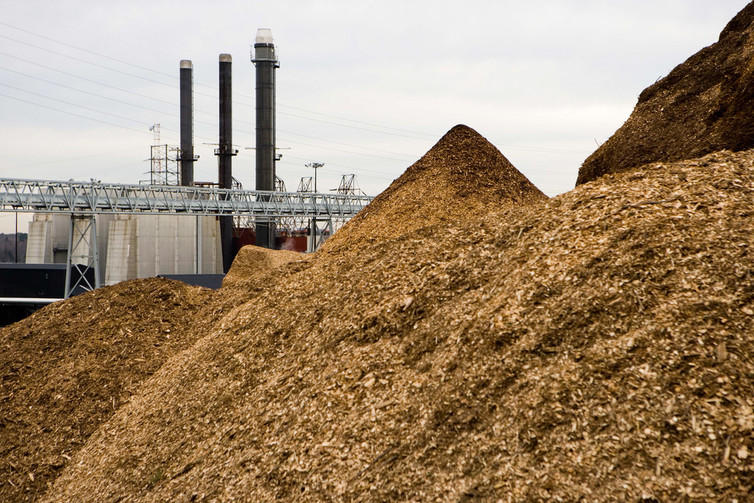 wood-chips.jpg 