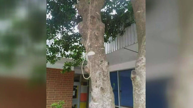 tree.png 