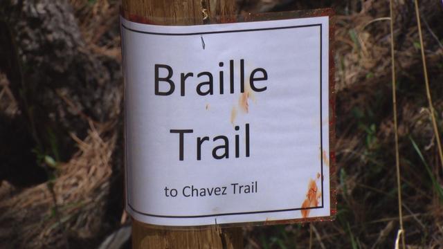 trail-braille-theft-5pkg-tra6587nsfer.jpg 