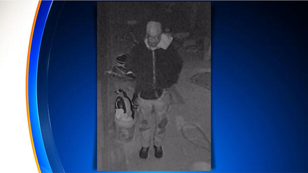 Brownsville, Brooklyn Tool Theft Suspect 