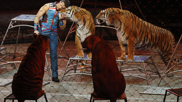 The final days of the Ringling Bros. circus 