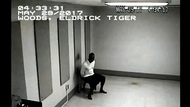 woods.gif 